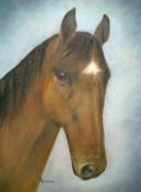 Horse painting - Leonardo 